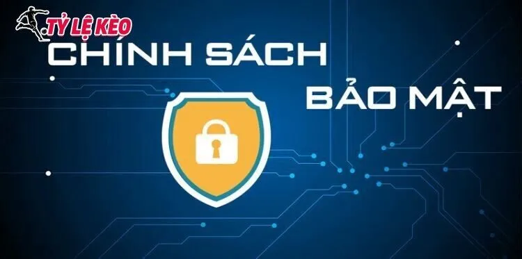 Các loại nguồn thu thập thông tin của chính sách bảo mật Tỷ Lệ Kèo
