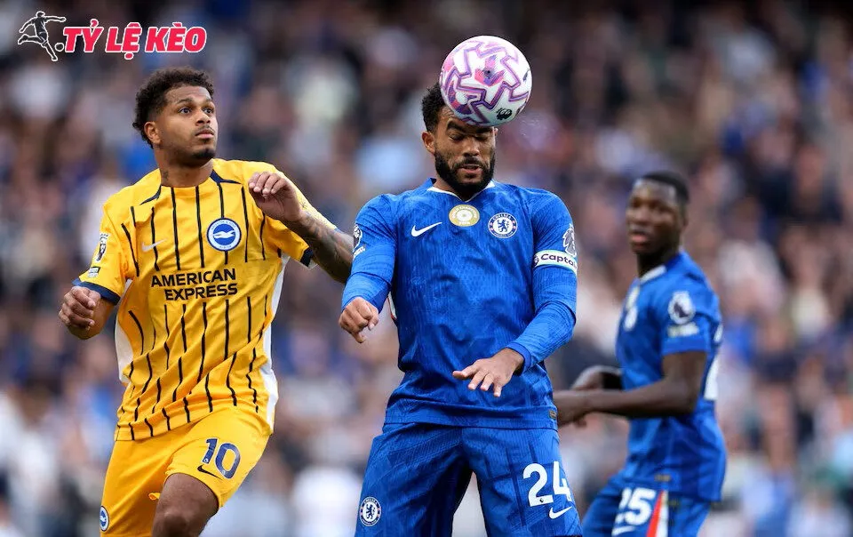 Đôi nét về trận đấu Chelsea vs Brighton