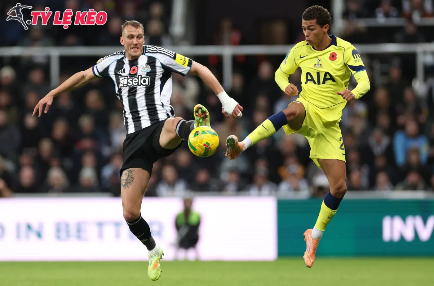 Newcastle hoàn toàn có thể tạo bất ngờ trước những chú gà trống